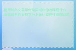 使用域名交易平台购买域名的流程是什么_备案域名在交易平台上转让需要注意哪些风险