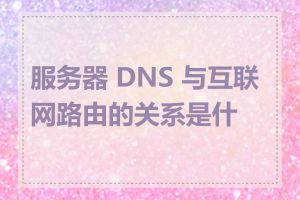 服务器 DNS 与互联网路由的关系是什么