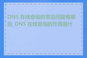 DNS 在线查询的常见问题有哪些_DNS 在线查询的作用是什么