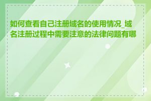 如何查看自己注册域名的使用情况_域名注册过程中需要注意的法律问题有哪些