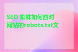 SEO 蜘蛛如何应对网站的robots.txt文件