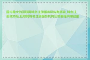 国内最大的互联网域名注册服务机构有哪些_域名注册成功后,互联网域名注册服务机构还需要提供哪些服务