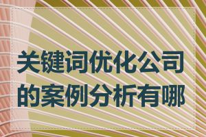 关键词优化公司的案例分析有哪些