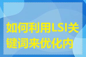 如何利用LSI关键词来优化内容