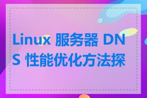 Linux 服务器 DNS 性能优化方法探讨