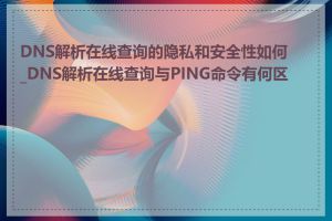 DNS解析在线查询的隐私和安全性如何_DNS解析在线查询与PING命令有何区别