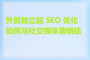 外贸独立站 SEO 优化如何与社交媒体营销结合