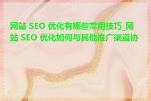 网站 SEO 优化有哪些常用技巧_网站 SEO 优化如何与其他推广渠道协同