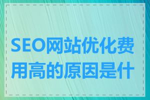 SEO网站优化费用高的原因是什么