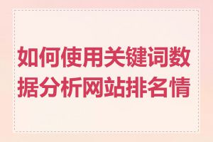 如何使用关键词数据分析网站排名情况