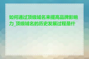 如何通过顶级域名来提高品牌影响力_顶级域名的历史发展过程是什么