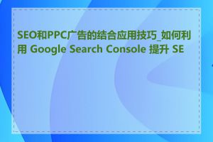 SEO和PPC广告的结合应用技巧_如何利用 Google Search Console 提升 SEO