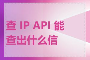 查 IP API 能查出什么信息