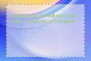 如何配置接口静态ARP条目来绑定IP和MAC地址_什么是IP地址与MAC地址的转换