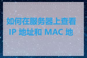 如何在服务器上查看 IP 地址和 MAC 地址