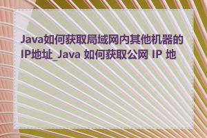 Java如何获取局域网内其他机器的IP地址_Java 如何获取公网 IP 地址