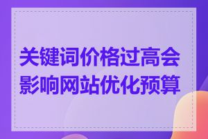 关键词价格过高会影响网站优化预算吗