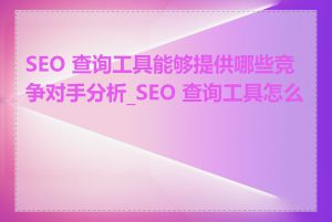 SEO 查询工具能够提供哪些竞争对手分析_SEO 查询工具怎么选