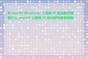 在 macOS Monterey 上查看 IP 地址的步骤是什么_macOS 上查看 IP 地址的快捷键有哪些