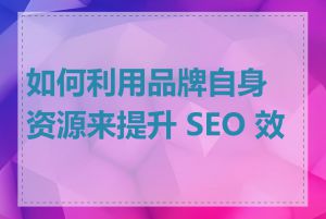 如何利用品牌自身资源来提升 SEO 效果