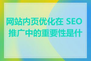 网站内页优化在 SEO 推广中的重要性是什么