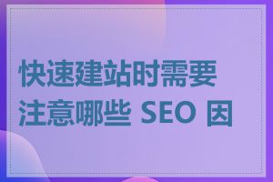 快速建站时需要注意哪些 SEO 因素