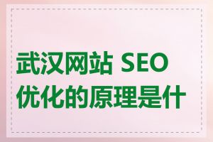 武汉网站 SEO 优化的原理是什么