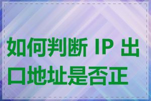 如何判断 IP 出口地址是否正确