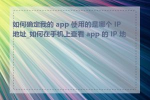 如何确定我的 app 使用的是哪个 IP 地址_如何在手机上查看 app 的 IP 地址