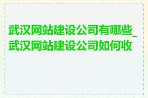 武汉网站建设公司有哪些_武汉网站建设公司如何收费