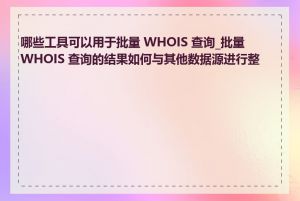 哪些工具可以用于批量 WHOIS 查询_批量 WHOIS 查询的结果如何与其他数据源进行整合