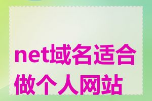 net域名适合做个人网站吗