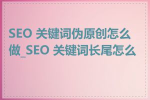 SEO 关键词伪原创怎么做_SEO 关键词长尾怎么做