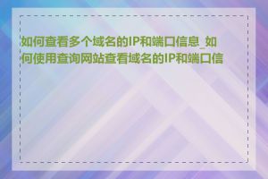 如何查看多个域名的IP和端口信息_如何使用查询网站查看域名的IP和端口信息