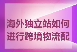 海外独立站如何进行跨境物流配送