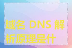 域名 DNS 解析原理是什么