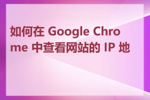 如何在 Google Chrome 中查看网站的 IP 地址