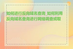 如何进行反向域名查询_如何利用反向域名查询进行网络调查或取证