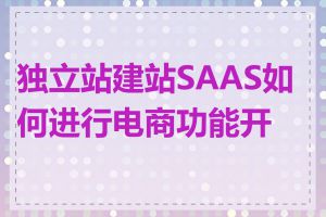 独立站建站SAAS如何进行电商功能开发