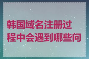 韩国域名注册过程中会遇到哪些问题