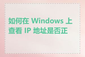 如何在 Windows 上查看 IP 地址是否正确