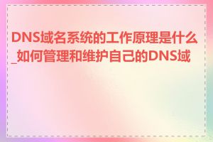 DNS域名系统的工作原理是什么_如何管理和维护自己的DNS域名