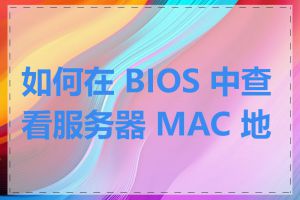 如何在 BIOS 中查看服务器 MAC 地址