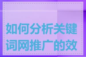 如何分析关键词网推广的效果