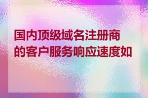 国内顶级域名注册商的客户服务响应速度如何