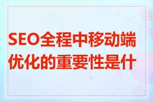 SEO全程中移动端优化的重要性是什么