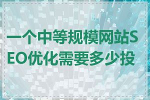 一个中等规模网站SEO优化需要多少投入