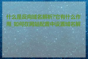 什么是反向域名解析?它有什么作用_如何在网站配置中设置域名解析