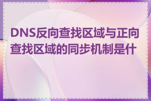 DNS反向查找区域与正向查找区域的同步机制是什么