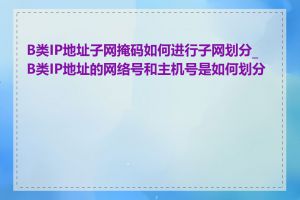 B类IP地址子网掩码如何进行子网划分_B类IP地址的网络号和主机号是如何划分的